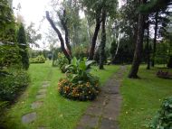 Ogród przy parafii w Bujakowie